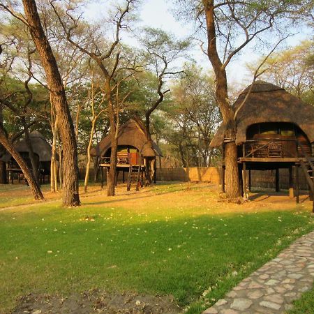 The Tree Lodge At Sikumi Dete 外观 照片