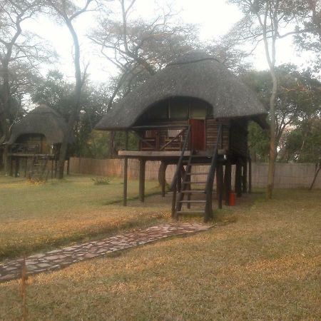 The Tree Lodge At Sikumi Dete 外观 照片