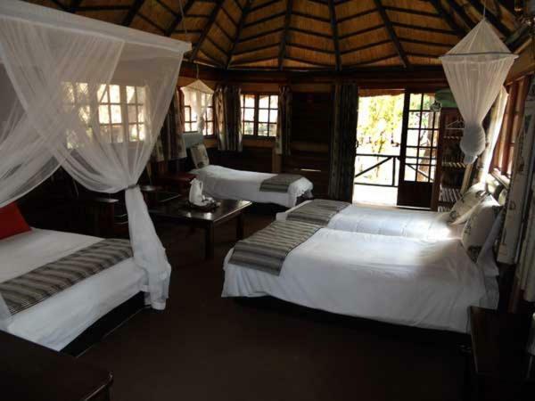 The Tree Lodge At Sikumi Dete 外观 照片
