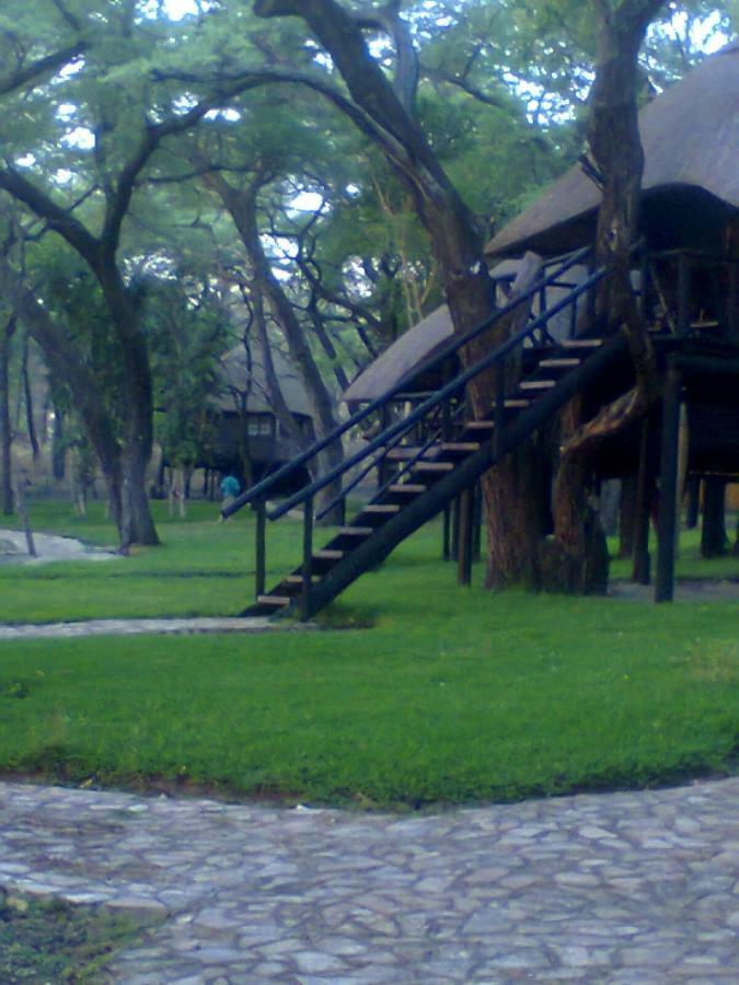 The Tree Lodge At Sikumi Dete 外观 照片