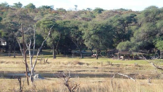 The Tree Lodge At Sikumi Dete 外观 照片