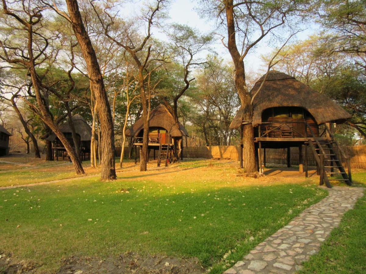 The Tree Lodge At Sikumi Dete 外观 照片