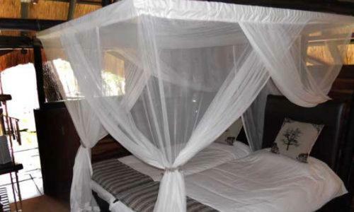 The Tree Lodge At Sikumi Dete 外观 照片