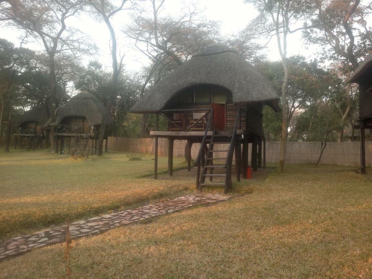 The Tree Lodge At Sikumi Dete 外观 照片
