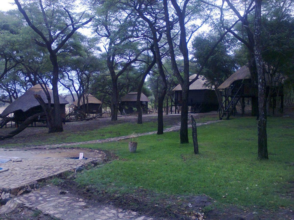 The Tree Lodge At Sikumi Dete 外观 照片