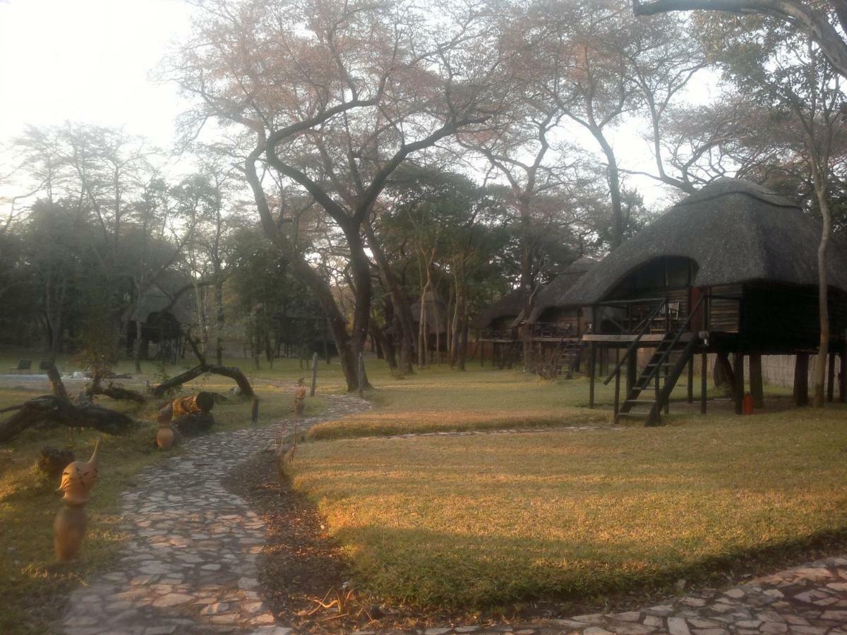 The Tree Lodge At Sikumi Dete 外观 照片