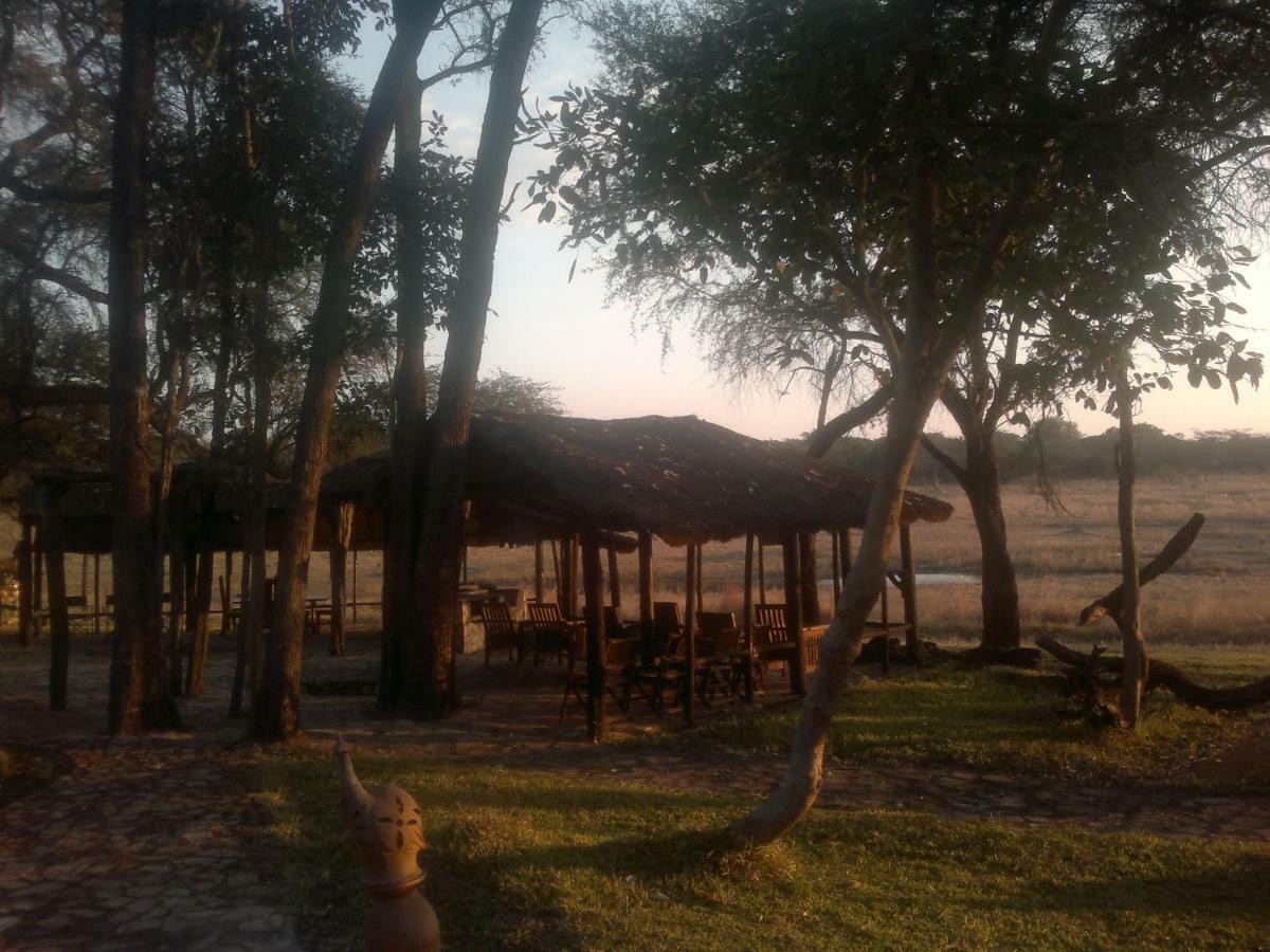 The Tree Lodge At Sikumi Dete 外观 照片