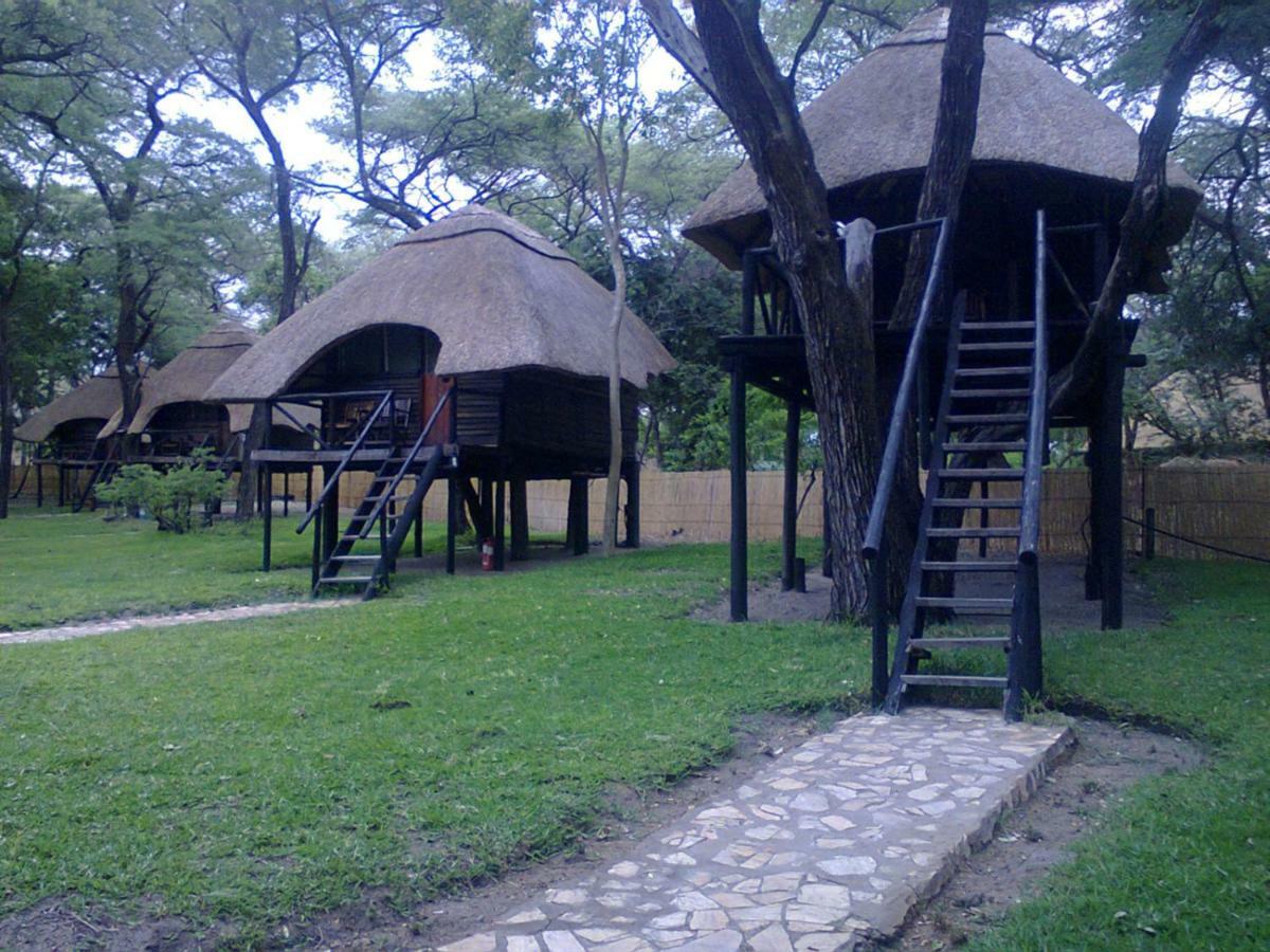 The Tree Lodge At Sikumi Dete 外观 照片